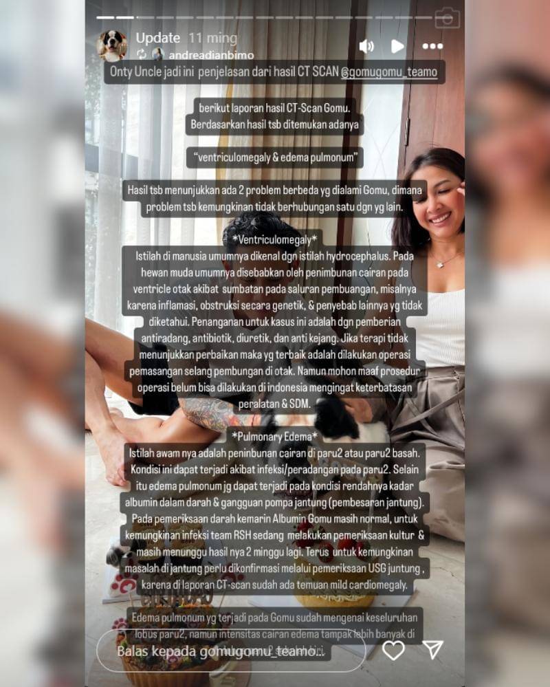 Instagram.com/gomugomu_teamo